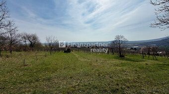 F428-13-MAT3a
Na predaj pivničný dom v obci Jelenec, v okres