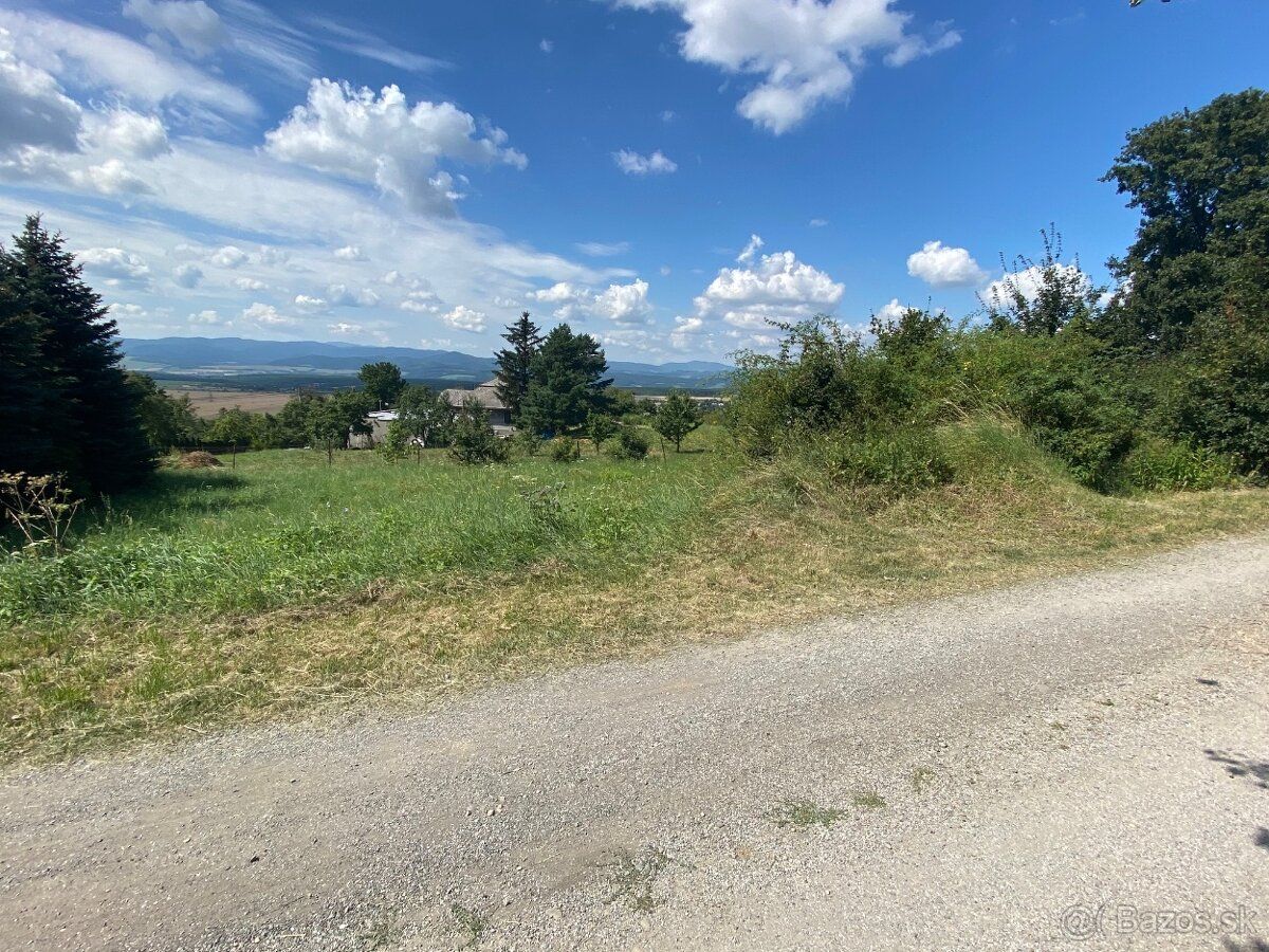 Ponúkame na predaj pozemok v obci Žehňa , rozloha pozemku 69