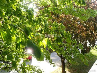 Ponúkame na predaj slnečný 1-izbový byt s balkónom, ktorý sa