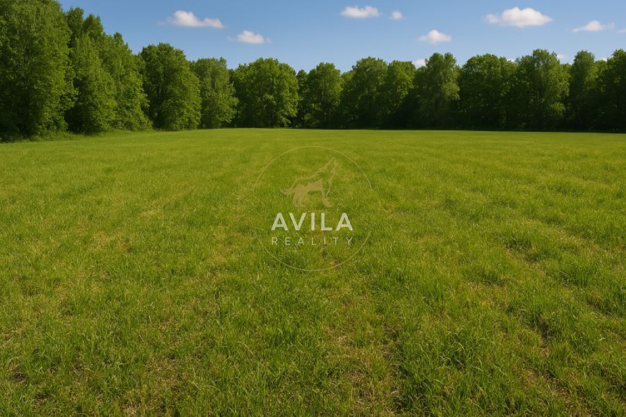 Sme AVILA. Už roky spájame ľudí s ich novým domovom. Kontakt