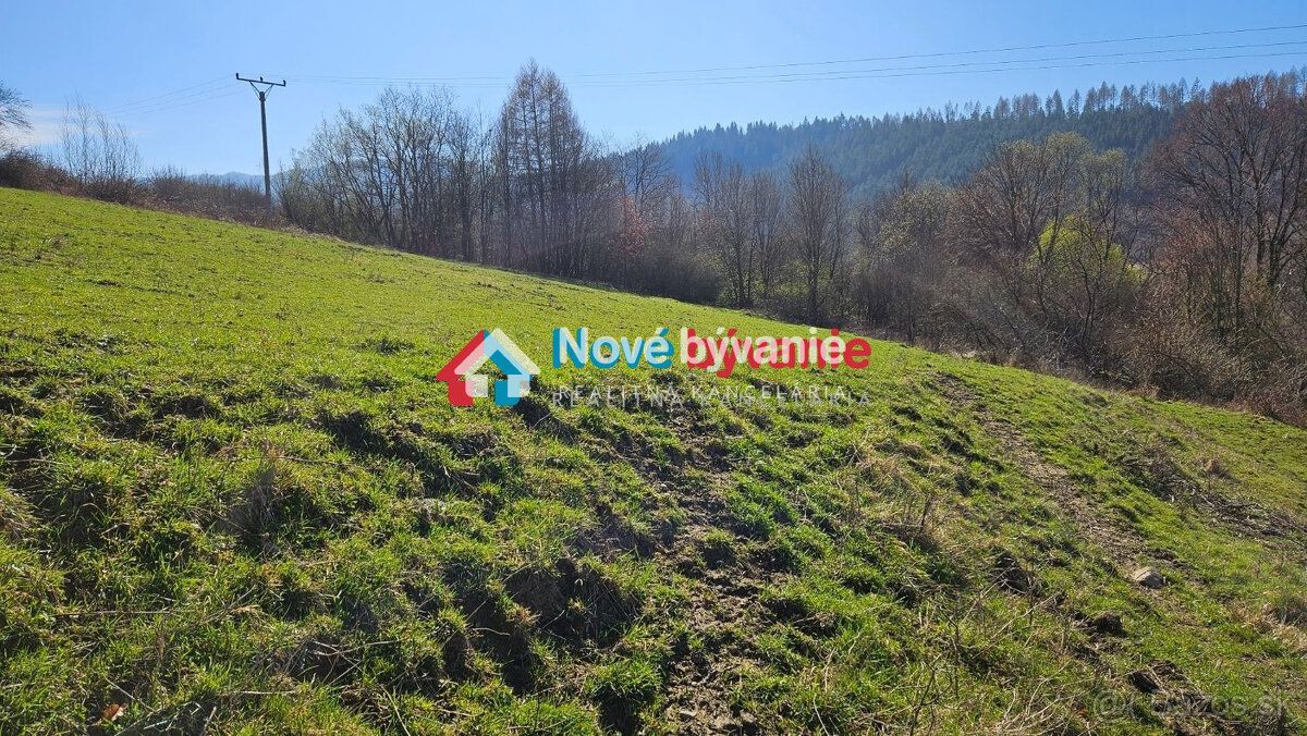 Typ: Poľnohospodárske a lesné pozemky Ulica: Povina Obec: Po