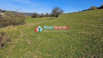 Typ: Poľnohospodárske a lesné pozemky Ulica: Povina Obec: Po