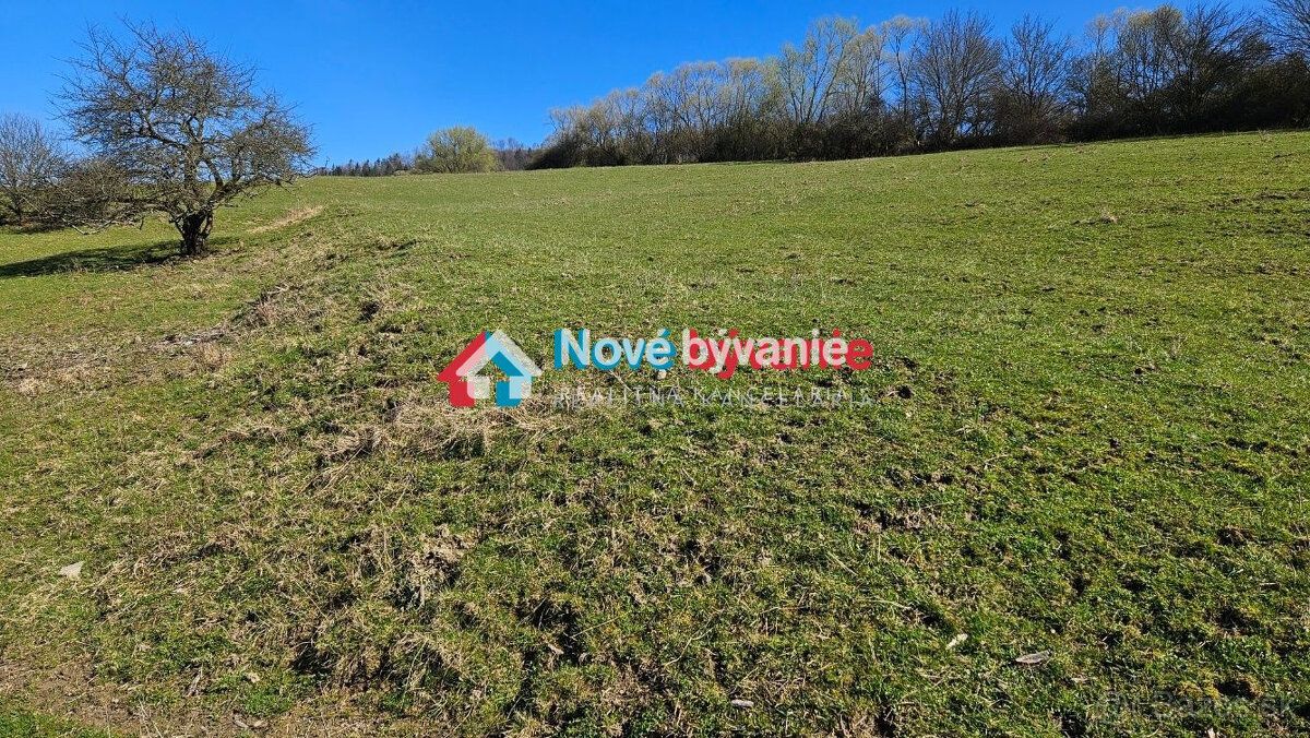 Typ: Poľnohospodárske a lesné pozemky Ulica: Povina Obec: Po