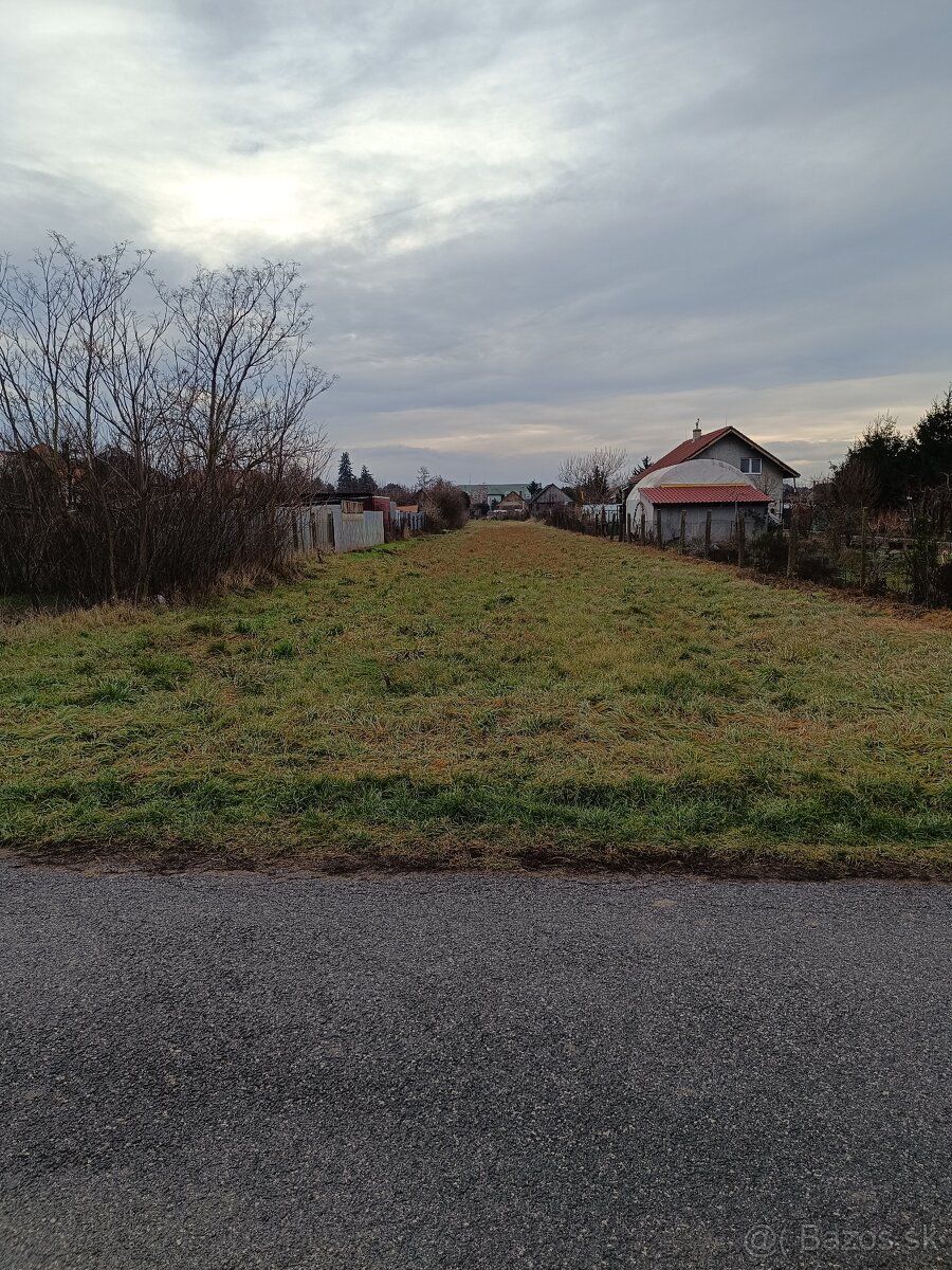 Predám v Galante 2 staršie rodinné domy,pozemok 3068 m2+ hos