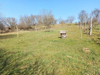 🌿 POKOJ, PRIESTOR A POTENCIÁL – VINIČNÝ DOM V LEVICIACH! 🍇
H