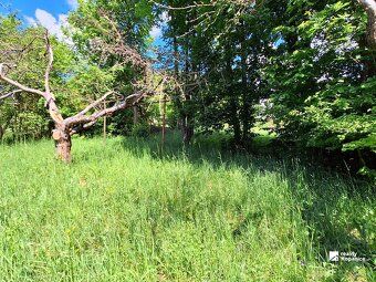 Stará Turá – Papraď – kopanice | 2 838 m² | stavebný pozemok