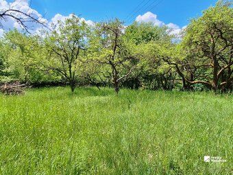 Stará Turá – Papraď – kopanice | 2 838 m² | stavebný pozemok