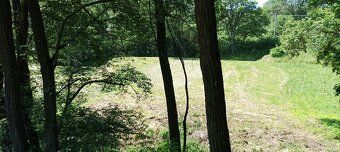 Dobrý deň.
 Predám/vymením veľký (3000m²),z väčšej časti rov