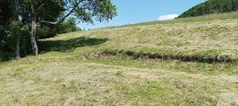Dobrý deň.
 Predám/vymením veľký (3000m²),z väčšej časti rov