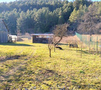 Ponúkame na predaj dom s krásnym VEĽKÝM POZEMKOM 2500m2 ktor