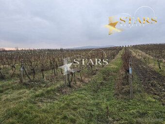 Predám rekreačný pozemok pri Trnianskom potoku obec Vinosady