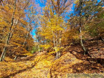 Tento pozemok o výmere 3000m2 sa nachádza v rekreačnej oblas