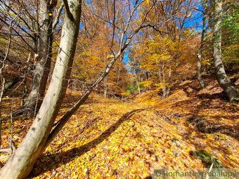 Tento pozemok o výmere 3000m2 sa nachádza v rekreačnej oblas