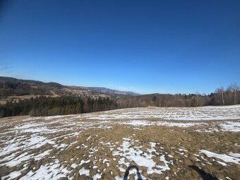 Typ: Pozemky - bývanie Ulica: Hlavná Obec: Skalité
 (261-14-