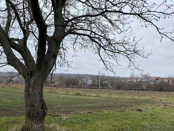 Ponúkame na predaj rovinatý pozemok v meste Skalica, lokalit