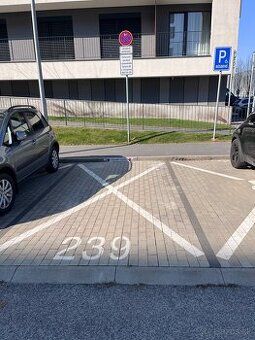 Ponúkame na prenájom vonkajšie parkovacie miesto v Slnečnici