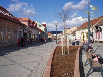 Dobrý deň, odstupim zabehnutú prevádzku v centre Hlohovca . 
