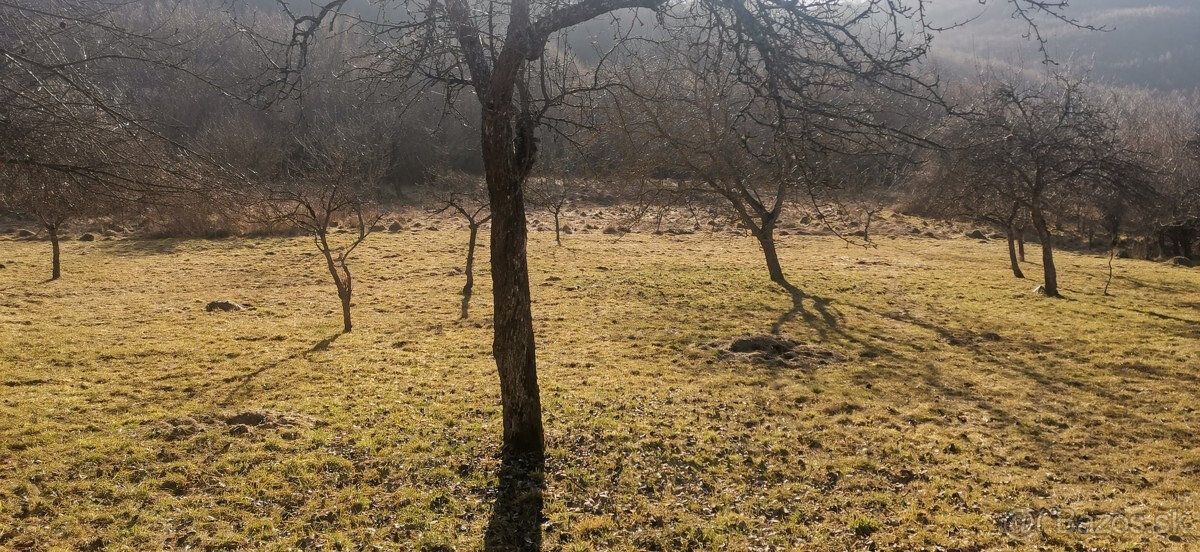 Ponúkame Vám na predaj dom v kľudnej časti Záhrb, Nová Baňa.