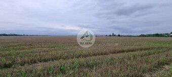Ján Homa z realitnej kancelárie Eli real vám ponúka na preda