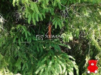 XEMAR ( alebo 0915/974 931 ponúka na predaj
čarovný lesný po