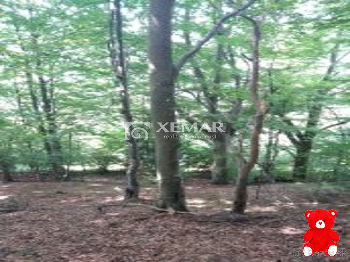 XEMAR ( alebo 0915/974 931 ponúka na predaj
čarovný lesný po