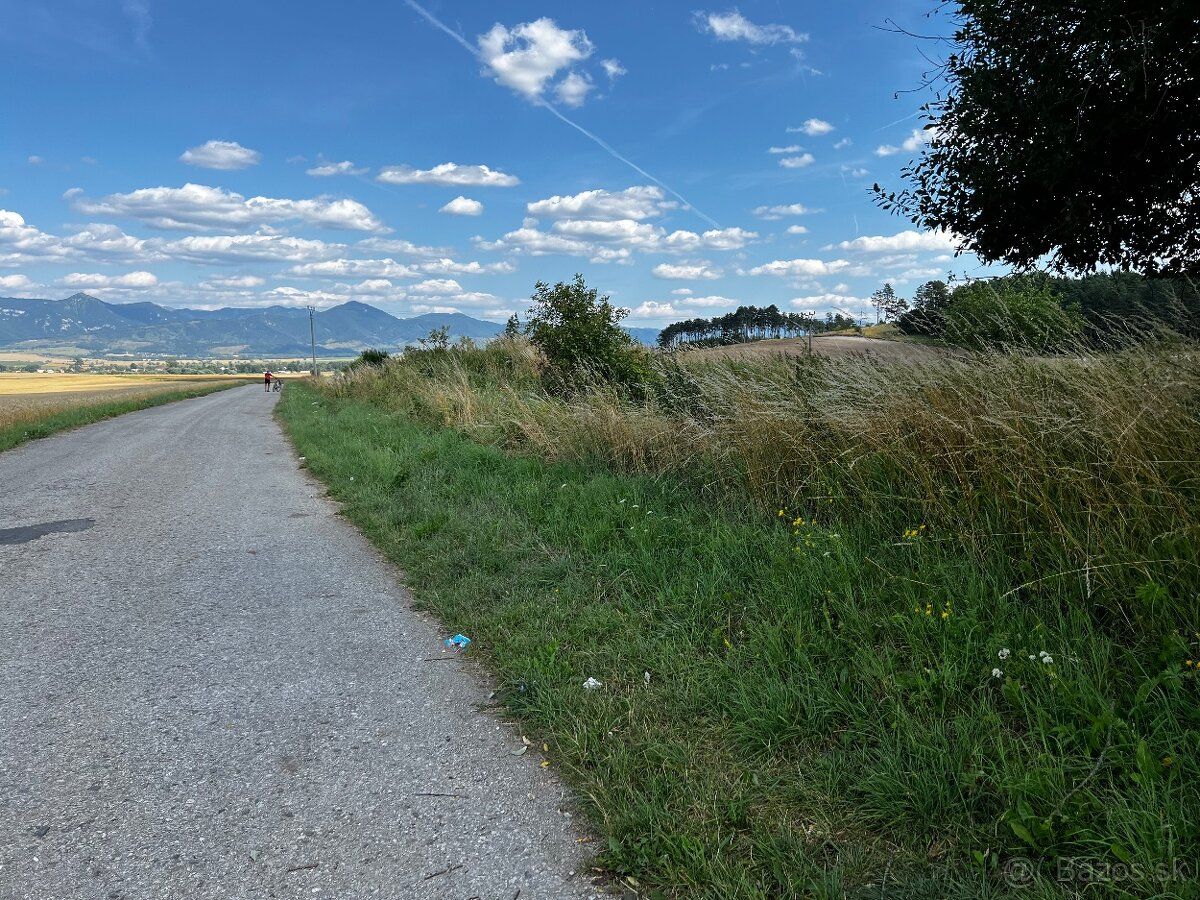 Pre 4xrodinny dom, aj polyfunkciu 1500m4, Abramová 20km Mart
