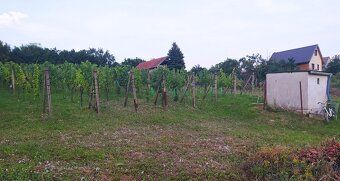 Ponúkam na predaj šikovný pozemok o rozlohe 1239 m2 vo vinoh