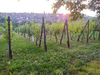Ponúkam na predaj šikovný pozemok o rozlohe 1239 m2 vo vinoh