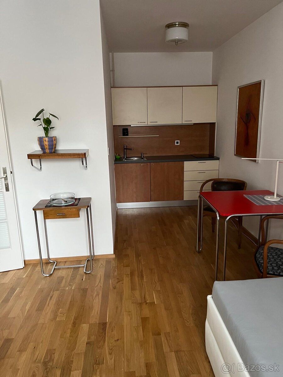 Ponúkam na prenájom peknú garsónku v centre Žilina, priamo n