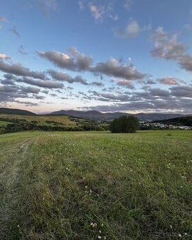 Ponúkame na predaj pozemok o výmere 4500 m2, možnosť rozdele