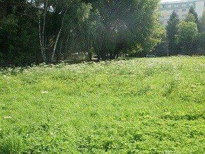 Ponúkame na predaj pozemok o výmere 4500 m2, možnosť rozdele