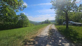 Na samote u lesa... takto začínajú slová, ktoré charakterizu