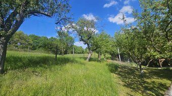 Na samote u lesa... takto začínajú slová, ktoré charakterizu