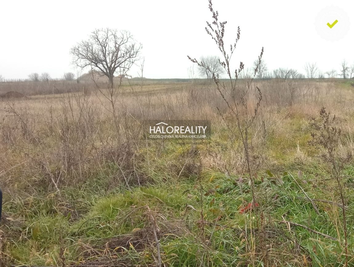 Realitná kancelária HALO reality a Miloš Silný, kontakt: 091