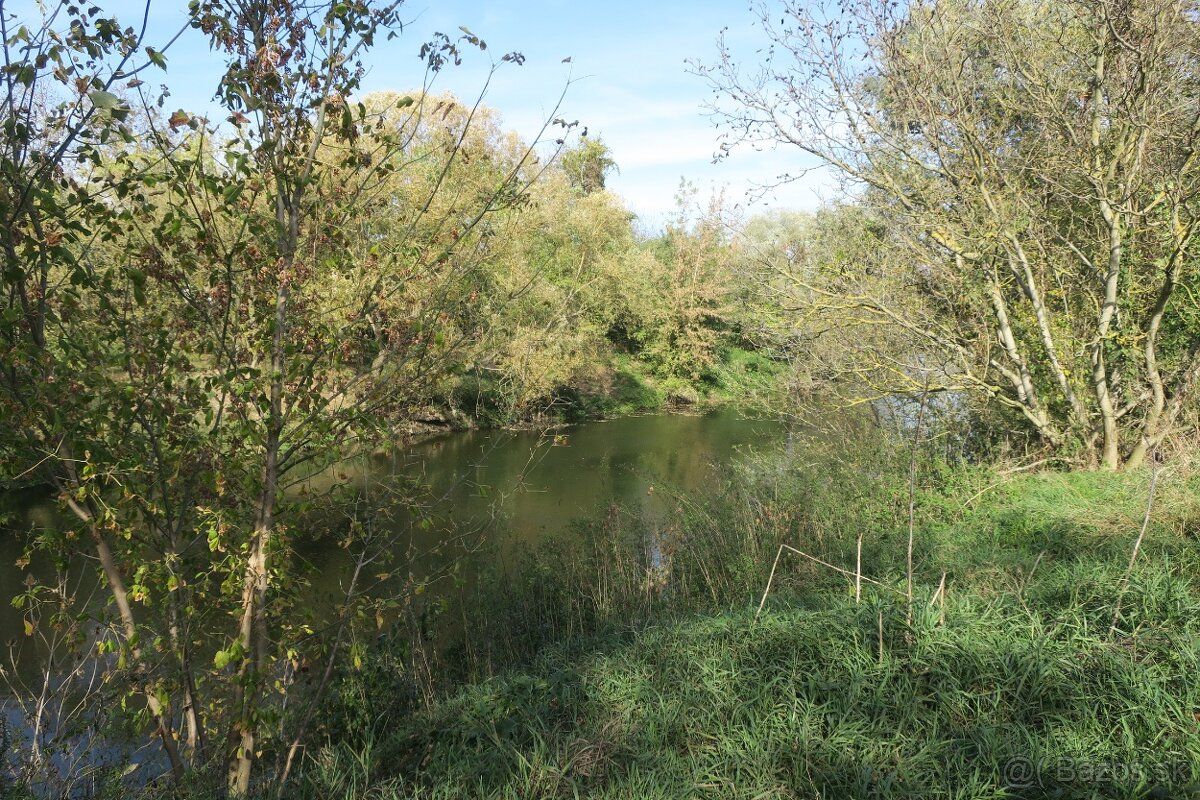 Ponúkame Vám na predaj pozemok, záhradu v Nových Zámkoch. Ro