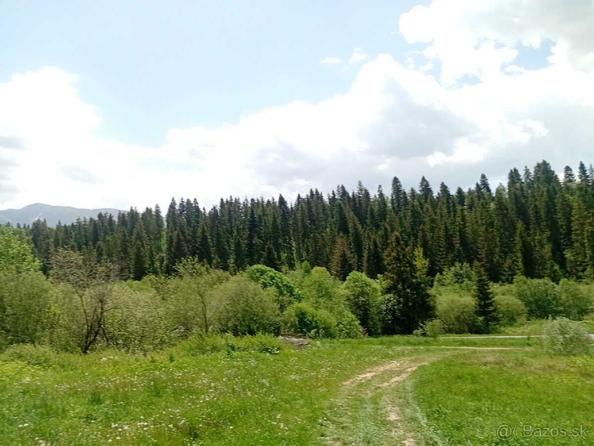 Predám stavebný pozemok na Orave v obci Habovka. Pozemok je 