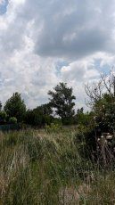 Predáme veľký pozemok, ktorý je možné aj rozdeliť - 29 árov 