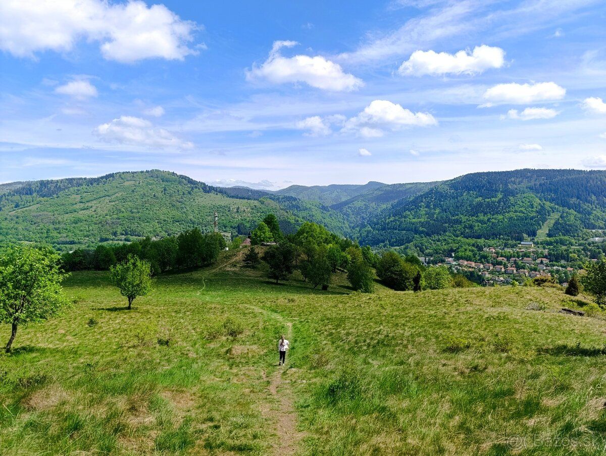 K.U.P.I.M. záhradku s chatou cca 400-600m2 v ZV,ZH,HA.Prosim