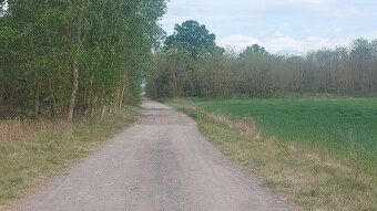 Predám pozemok v katastri Malých Levár, evidovaný na katastr