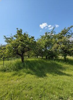 Pozemok na predaj Drienica – stavebný pozemok 1193 m², okres