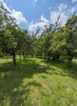 Pozemok na predaj Drienica – stavebný pozemok 1193 m², okres