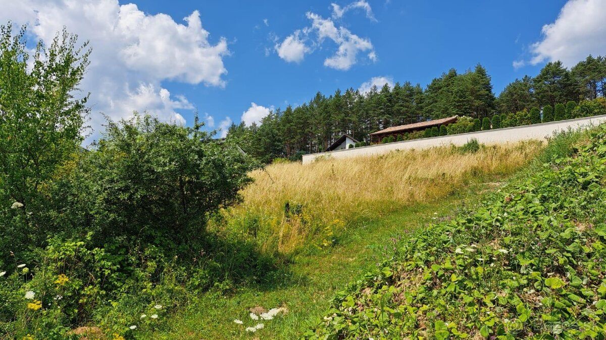 Predam krasny slnecny stavebny pozemok v obci Pruzina - 20.9