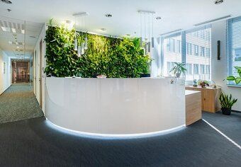 📍 Pribinova 4, Staré Mesto, Bratislava
Serviced offices, vir