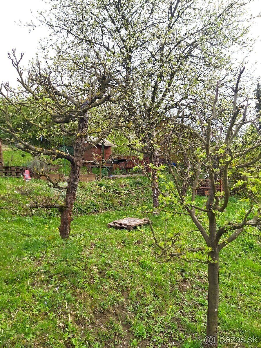 Zahrada 558m2 Ovocne stromy Hrozno Úžitková voda na hranici 