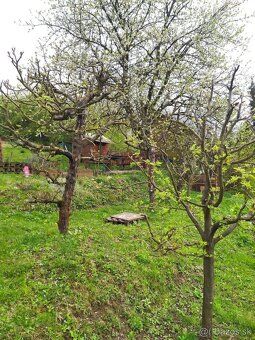 Zahrada 558m2 Ovocne stromy Hrozno Úžitková voda na hranici 