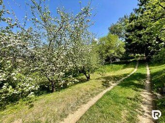 Zahrada 558m2 Ovocne stromy Hrozno Úžitková voda na hranici 
