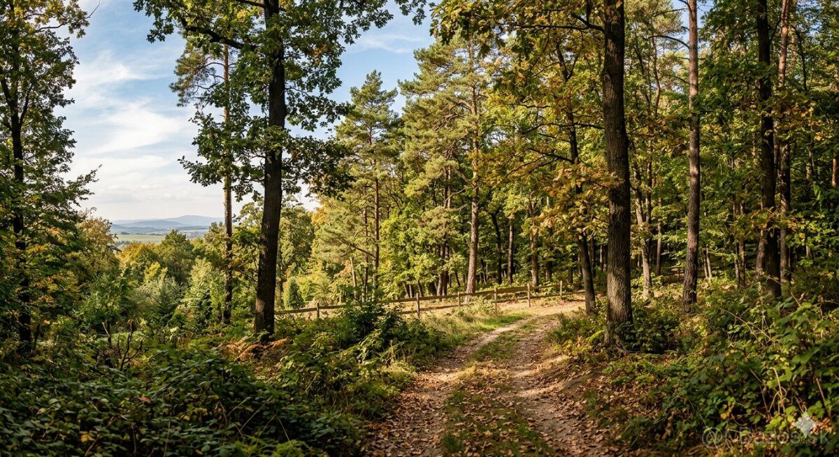 k.ú. Tesáre nad Žitavou LV č.1695, p.č.4346, výmer 9801m2, l
