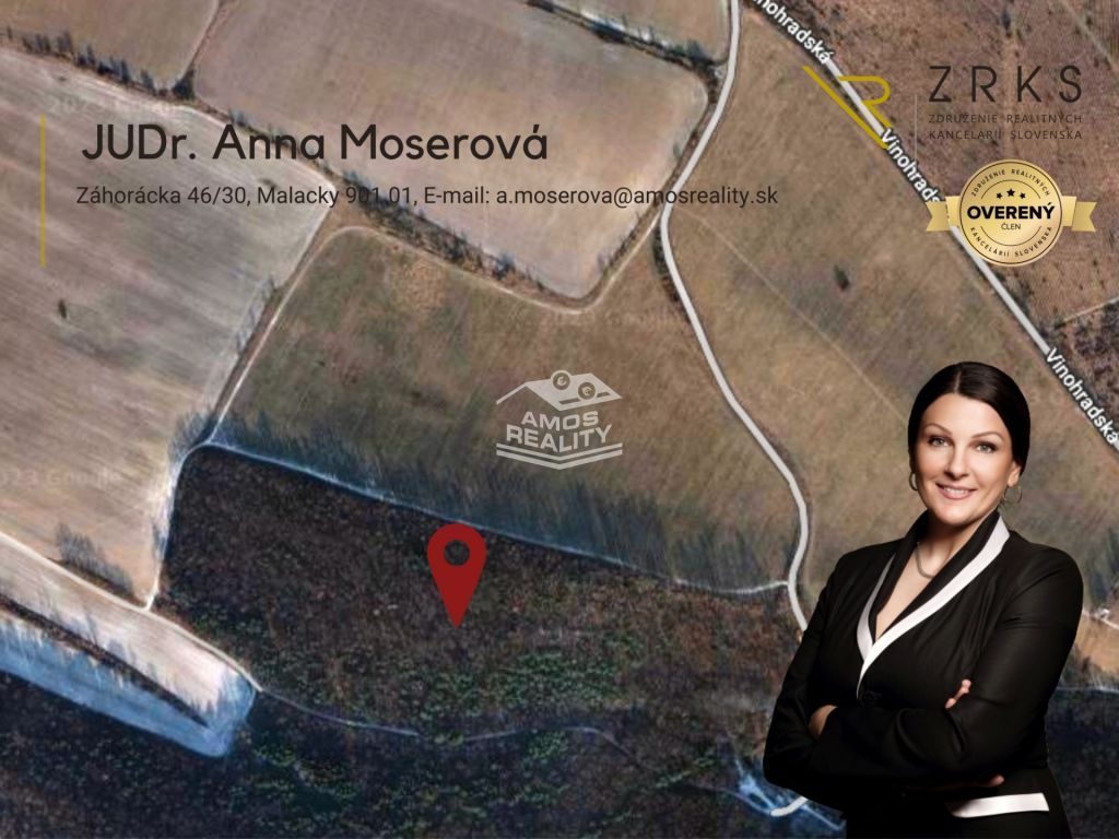 AMOS reality so súhlasom majiteľa ponúka na predaj krásny ro