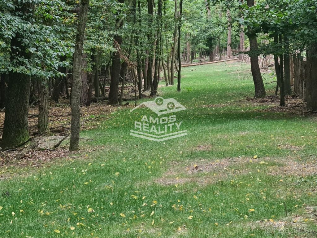 AMOS reality so súhlasom majiteľa ponúka na predaj krásny ro