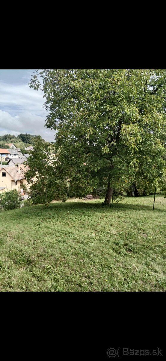 Zdravím ponúkam na predaj záhradu v Petrovej Lehote je to 10